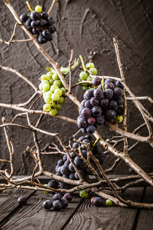 Fresh grapes on wood. Autumn fruitの写真素材
