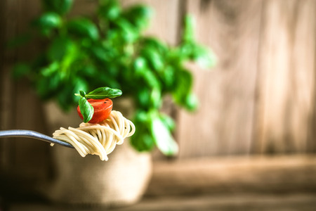 Italian cuisine. Pasta on fork. Pasta with olive oil, garlic, basil and tomatoes. Spaghetti with tomatoesの写真素材