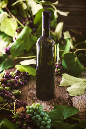 Wine. Glass of white wine in wine cellar. Old white wine on wood.の写真素材