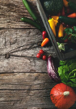 Organic vegetables on wood. Harvested vegetables. Rustic setting with pumpkins, peppers, tomatoes and lettuceの写真素材