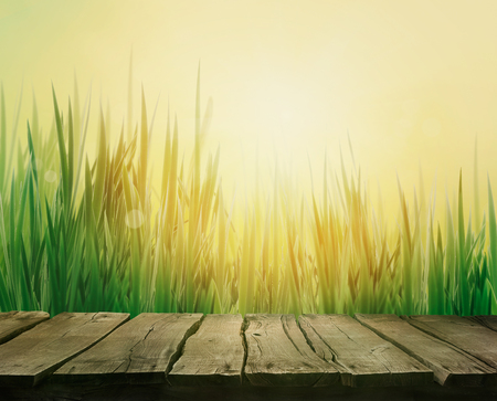 Spring grass. Blur background. Summer nature. Bokeh blurred background.Wooden table. Wood planksの写真素材
