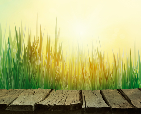 Spring grass. Blur background. Summer nature. Bokeh blurred background.Wooden table. Wood planksの写真素材