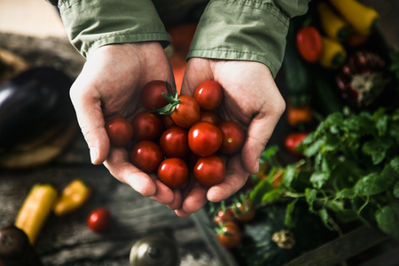 Organic vegetables on wood. Farmer holding harvested vegetables. Rustic settingの写真素材