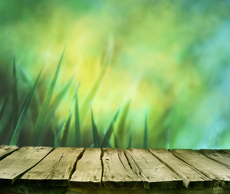 Spring background. Spring grass. Blur background. Summer nature. Bokeh blurred background.Wooden table. Wood planksGrass  with copyspace. Floral background .Nature bokehの写真素材