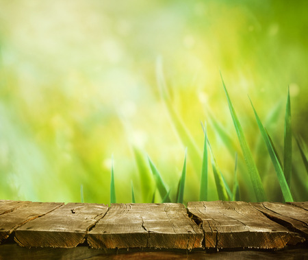 Spring background. Spring grass. Blur background. Summer nature. Bokeh blurred background.Wooden table. Wood planksGrass  with copyspace. Floral background .Nature bokehの写真素材
