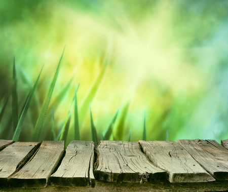 Spring background. Spring grass. Blur background. Summer nature. Bokeh blurred background.Wooden table. Wood planksGrass  with copyspace. Floral background .Nature bokehの写真素材