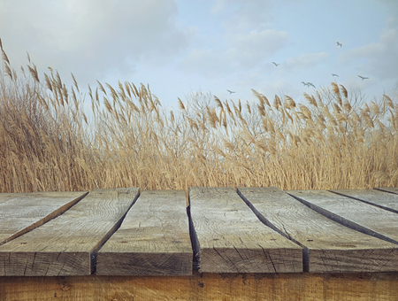  wooden  table. Wood empty tabletop for your montage. Wood planks with landscapeの写真素材