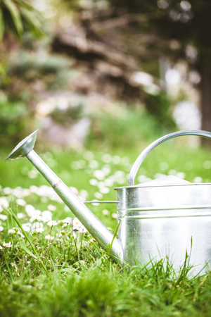 Spring garden. Water can with cherry flowers. Spring grass with flowersの写真素材