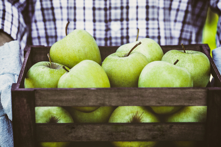 Organic fruit. Farmers hands with freshly harvested fruit. Fresh organic apples.の写真素材