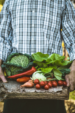 Organic vegetables. Farmers hands with freshly harvested vegetables. Fresh organic foodの写真素材