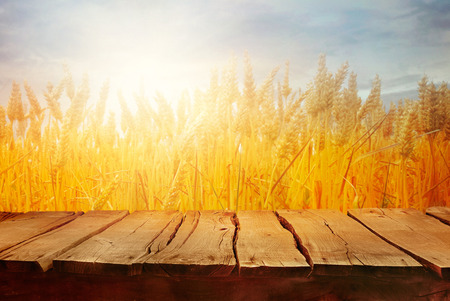 Wheat field with wood planks. Empty tabletop. Table with wheat.Beautiful Nature Sunset Landscape. Rural Scenery with golden wheat. Agriculture background with Harvestの写真素材
