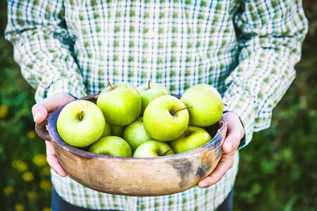 Organic fruit. Farmers hands with freshly harvested fruit. Fresh organic apples.の写真素材