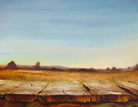 Spring tree  background. Grass and cloudscape art Design. Summer environmetal landscape concept.の写真素材