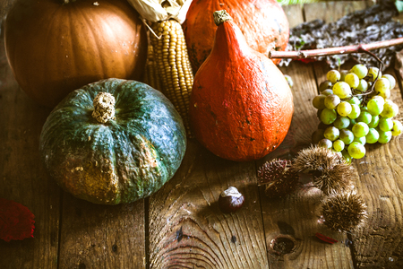 Thanksgiving dinner. Autumn fruit with copyspace. Thanksgiving autumn backgroundの写真素材