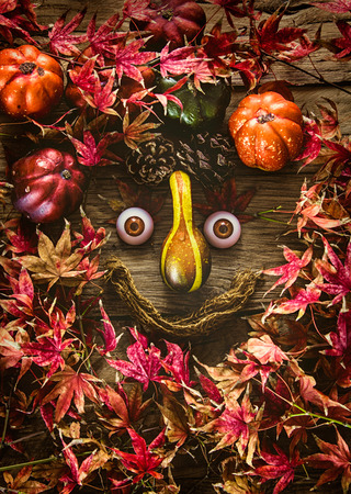 Autumn leaves. Fall red leaves on wood. Nature background. Funny face on woodの写真素材