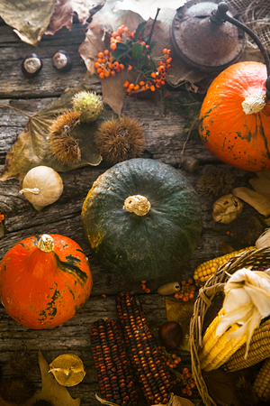 Thanksgiving dinner. Autumn fruit with copyspace. Thanksgiving autumn backgroundの写真素材