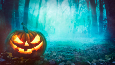 Halloween background. Spooky forest with dead trees and pumpkin.Halloween design with pumpkinの写真素材