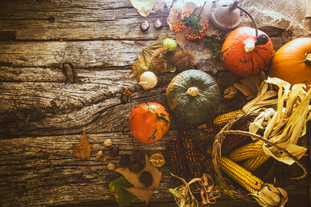 Thanksgiving dinner. Autumn fruit with copyspace. Thanksgiving autumn backgroundの写真素材