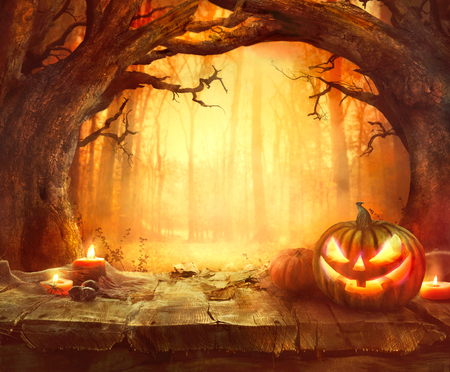 Halloween Pumpkin in Dark Forest. Halloween Background.