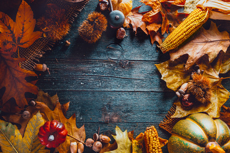 Thanksgiving day dinner. Autumn fruit  and leaves. Thanksgiving autumn backgroundの写真素材