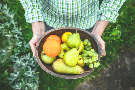 Fresh fruit. Farmer with bowl of fruit.s. Fruit basket.の写真素材