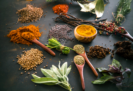 Spices and herbs. Variety of spices and mediterranean herbs. Food backgroundの写真素材