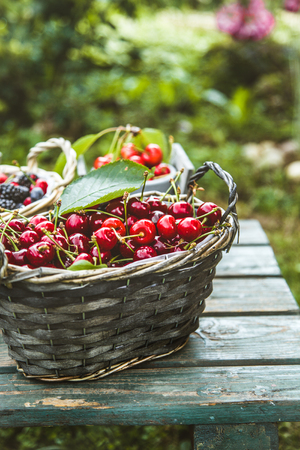 Fresh forest fruit on wood. Fresh organic fruit. Red cherries, blueberries and blackberriesの写真素材