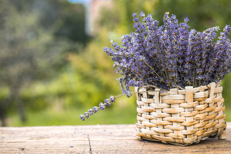 Lavender background. Lavender flower bunch on wood. Floral backgroundの写真素材
