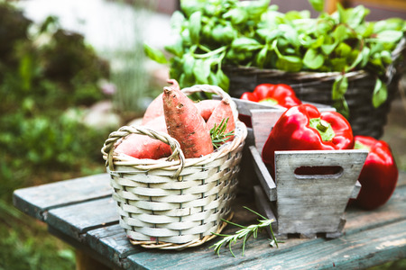 Fresh vegetables on wood in garden. Food layout. Vegetables varietyの写真素材