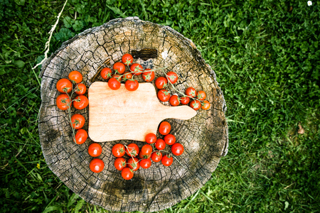 Fresh vegetables. Cherry tomatoes on wood in vegetable gardenの写真素材