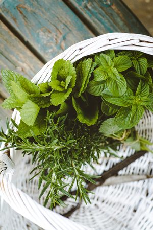 Fresh herbs. Melissa, rosemary and mint in rustic settingの写真素材