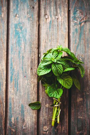 Fresh herbs. Mint herbs in rustic settingの写真素材