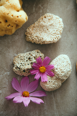 Spa natural concept. Dayspa cosmetics products. Spa and wellness setting.の写真素材