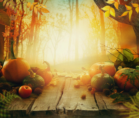 Autumn fruit on table. Selection of fruit in autumn forestの写真素材