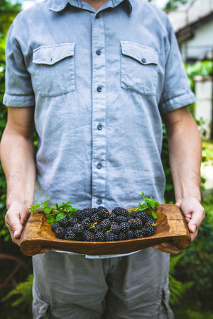 Organic fruit. Farmers hands with freshly harvested fruit. Fresh organic blackberries.の写真素材