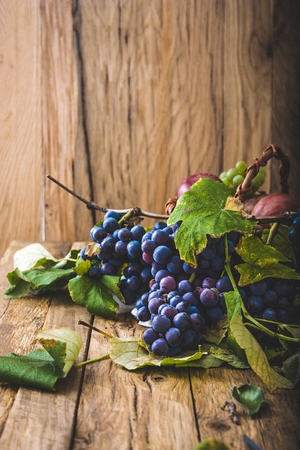 Fresh grapes on wood. Autumn fruitの写真素材