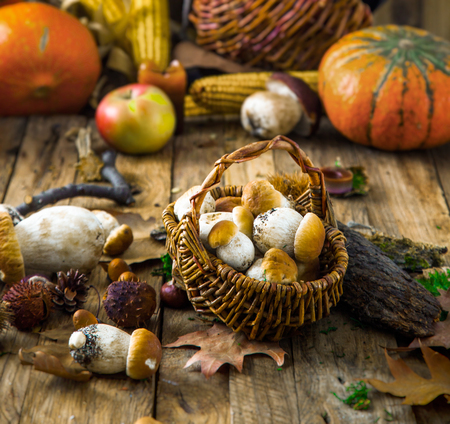 Mushroom  over Wooden Background. Autumn Cep Mushrooms on wood. Autumn forest fruitの写真素材