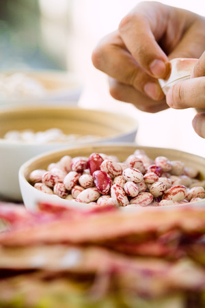 Chef is Preparing Ingredients for Cooking. Fresh Beans on Tableの写真素材