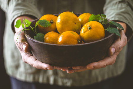 Fresh Tangerine in farmer's hands. Farmer holding Fruit.の写真素材