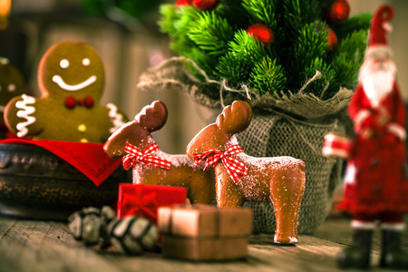 Christmas decoration. Santa Claus and reindeer with Christmas tree, presents and gingerbread man.の写真素材