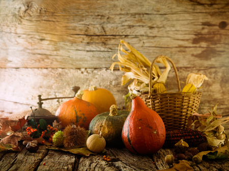 Thanksgiving dinner. Autumn fruit with copyspace. Thanksgiving autumn backgroundの写真素材