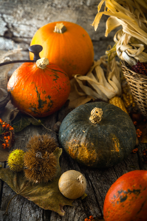 Thanksgiving day dinner. Autumn fruit with leaves. Thanksgiving autumn backgroundの写真素材