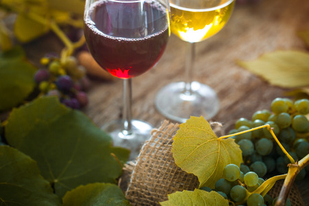 Wine. Glass of white and red wine in wine cellar. Old  wine on wood.の写真素材