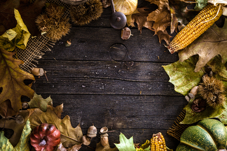 Thanksgiving dinner. Autumn fruit with plate and cutlery. Thanksgiving autumn backgroundの写真素材