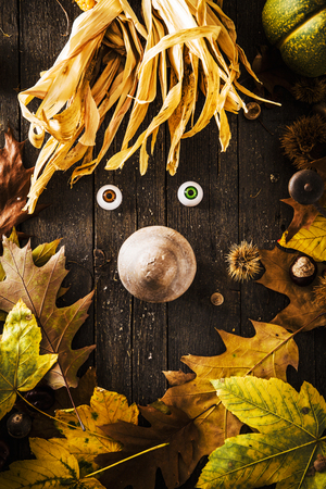 Thanksgiving dinner. Autumn fruit with face from autumn fruit. Thanksgiving autumn backgroundの写真素材