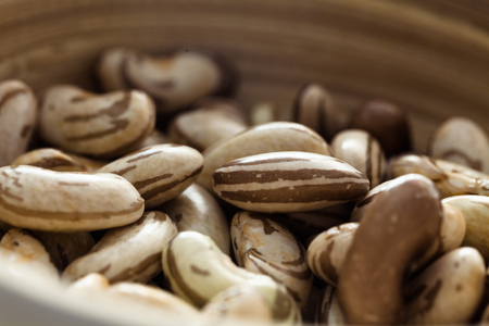 Healthy vegetarian food. Collection of beans. Freshly harvested beans variety. Beans on tableの写真素材