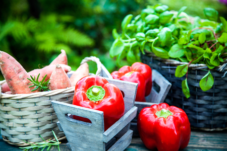 Fresh vegetables on wood in garden. Food layout. Vegetables varietyの写真素材