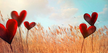 Valentines day. Valentines background with spring nature.  Love red background. Valentines day empty displayの写真素材