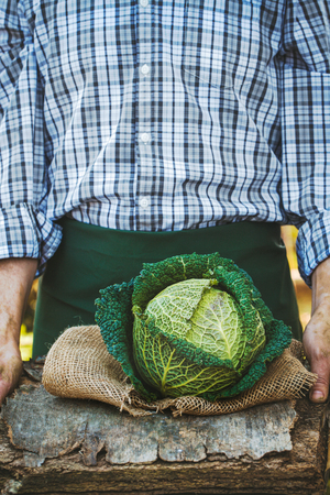 Organic vegetables. Farmers hands with freshly harvested vegetables. Fresh organic kaleの写真素材