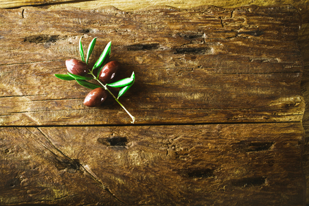 Olives on olive branch. Wooden table with olives. Old wood with olivesの写真素材